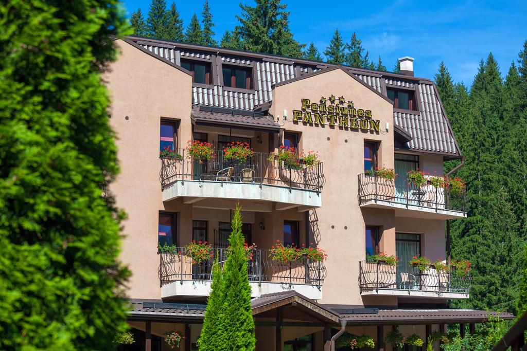 Pension Pantheon Пояна-Брашов Экстерьер фото