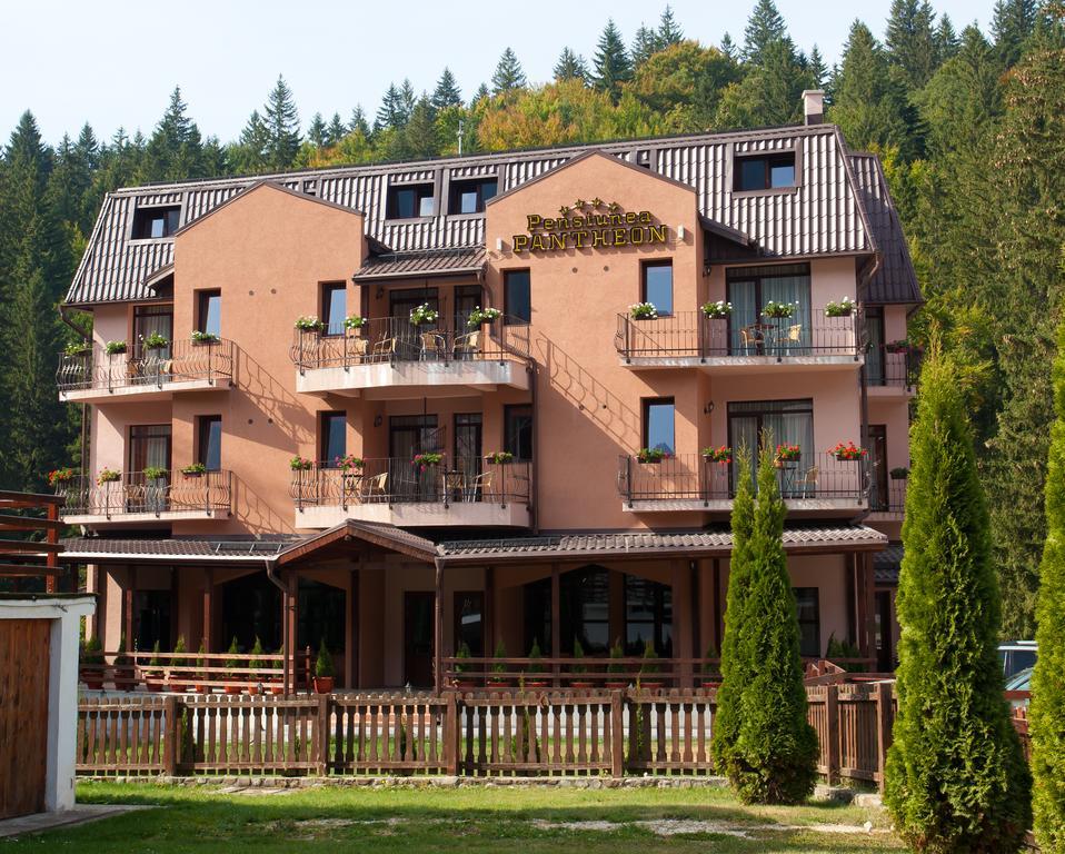 Pension Pantheon Пояна-Брашов Экстерьер фото