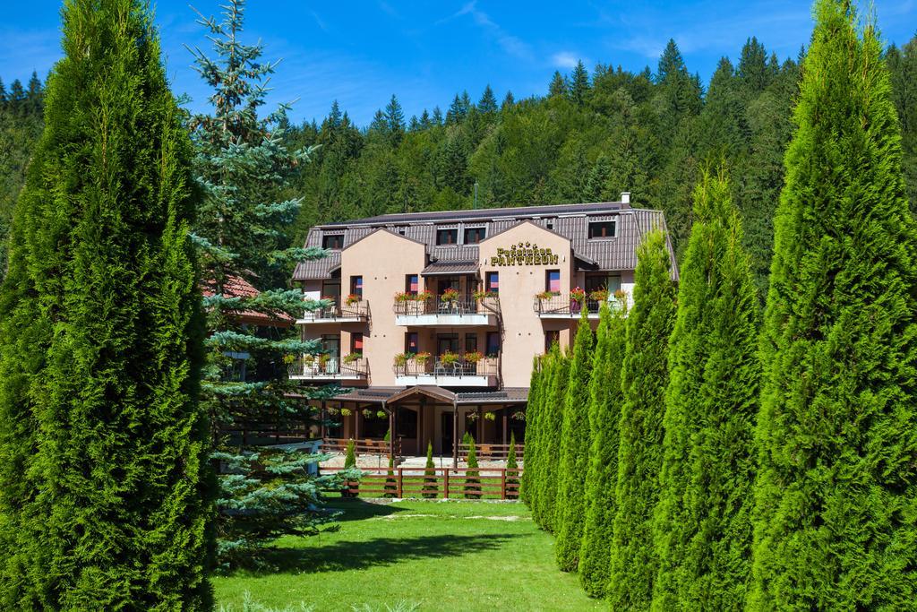 Pension Pantheon Пояна-Брашов Экстерьер фото